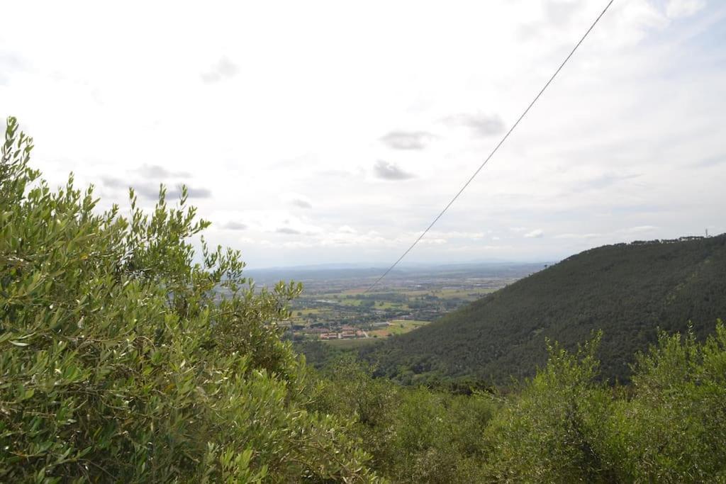 Il Rustico *