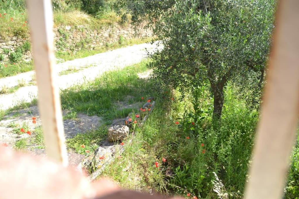 Il Rustico