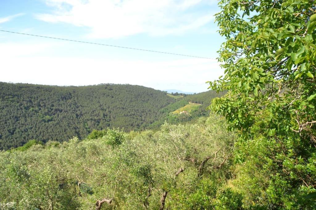Il Rustico