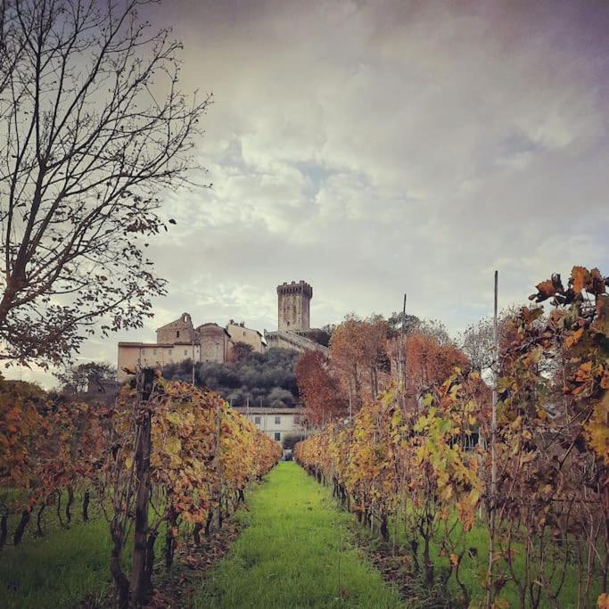 Il Rustico Casa de Férias Vicopisano