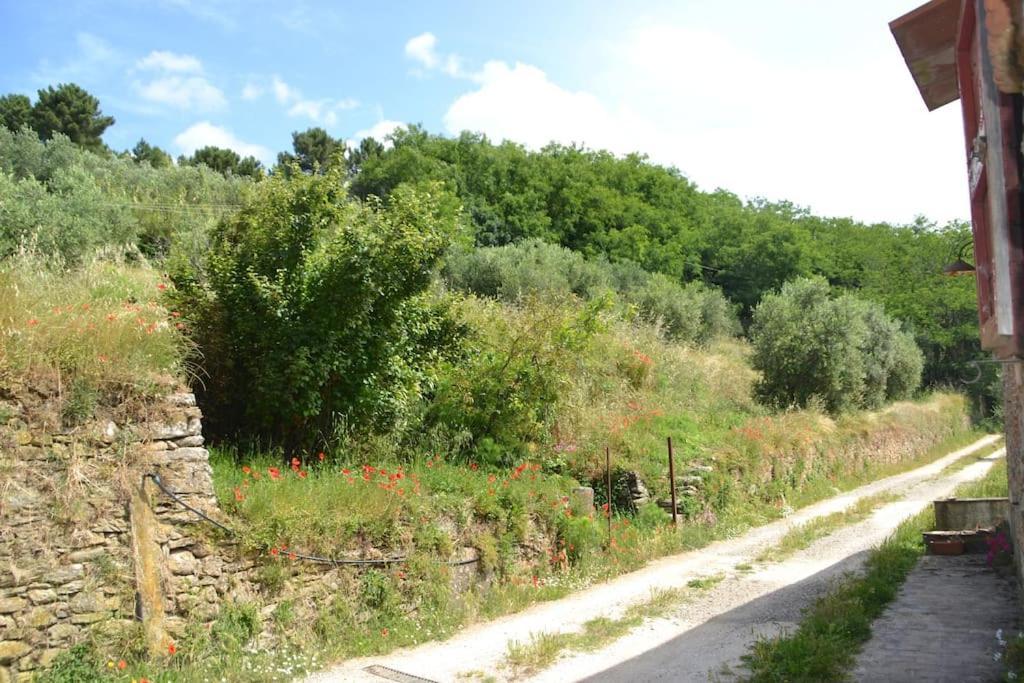 Il Rustico Ferienhaus